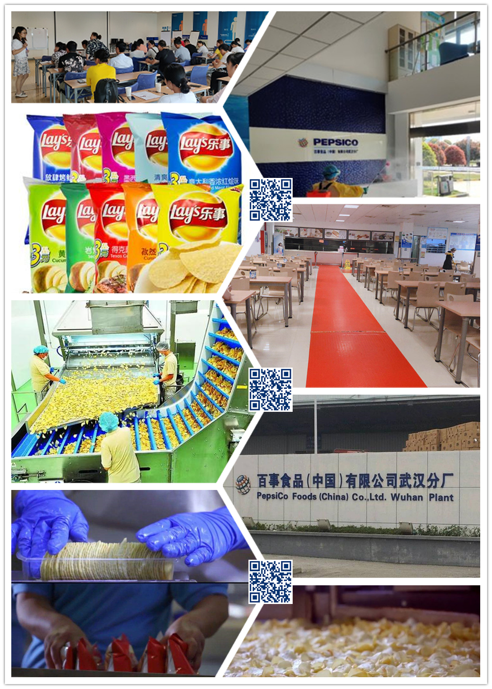 武汉百事食品厂区环境