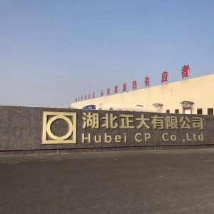 湖北正大有限公司厂区照片