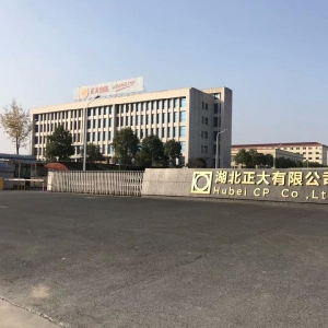 湖北正大有限公司厂区照片