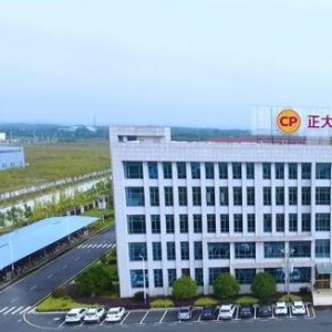 湖北正大有限公司厂区照片