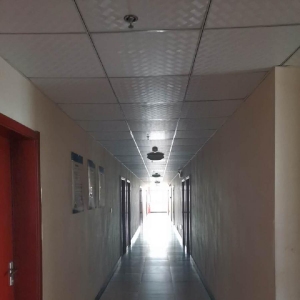 湖北鼎龙控股股份有限公司厂区照片
