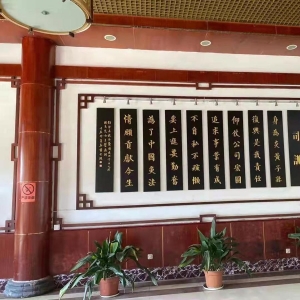 武汉国灸科技开发有限公司厂区照片