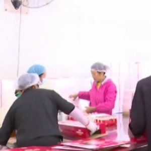 湖北好彩头食品有限公司厂区照片