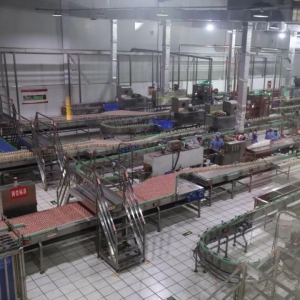 湖北好彩头食品有限公司厂区照片