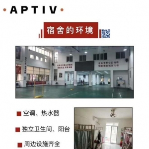 安波福电气系统有限公司厂区照片