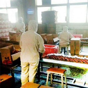 湖北楚丰食品有限公司厂区照片